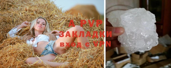 гидра Михайловск