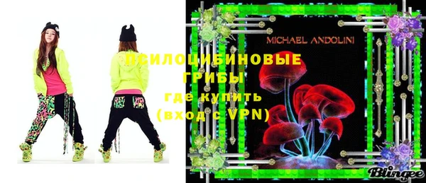 apvp Михайлов