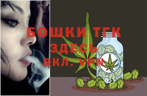 гидра Михайловск