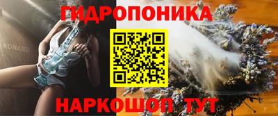 эйфоретик Аргун