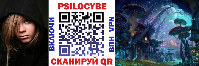 Галлюциногенные грибы Psilocybe  Балашиха 