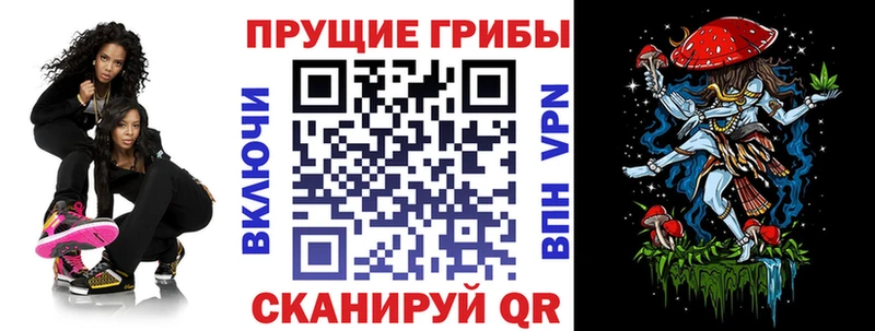 Псилоцибиновые грибы Cubensis Балашиха