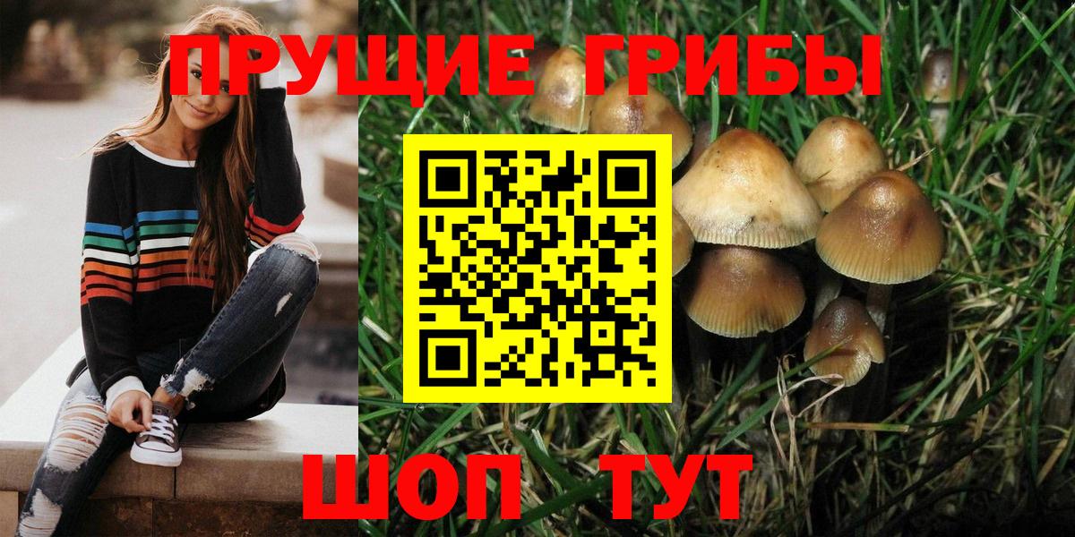 Балашиха  Галлюциногенные грибы Magic Shrooms  купить закладку  Вход с VPN 