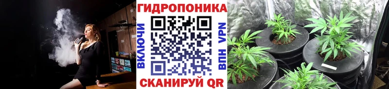 купить наркотики цена  OMG как зайти  Конопля гибрид  Балашиха 